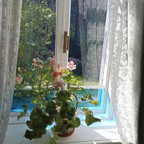 Наметили поездку в шахматово - боблово музей - заповедник а. а. блока и Д. М. Менделеева. 09