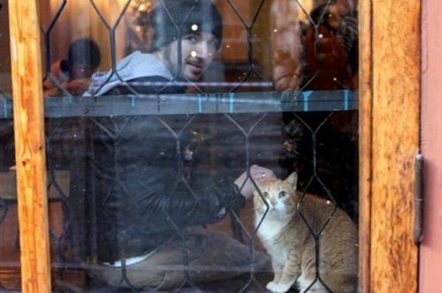 Пышечная на большой конюшенной. 05 Пышечная на большой конюшенной. 05