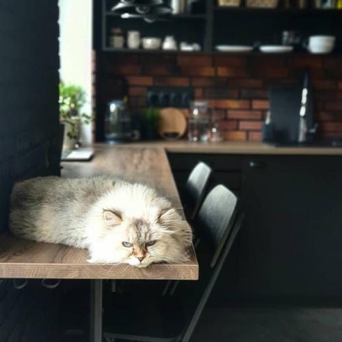 Стильная кухня в хрущевке. 08