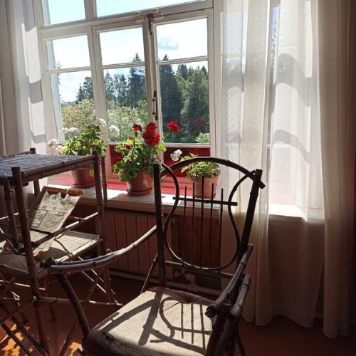 Наметили поездку в шахматово - боблово музей - заповедник а. а. блока и Д. М. Менделеева. 03