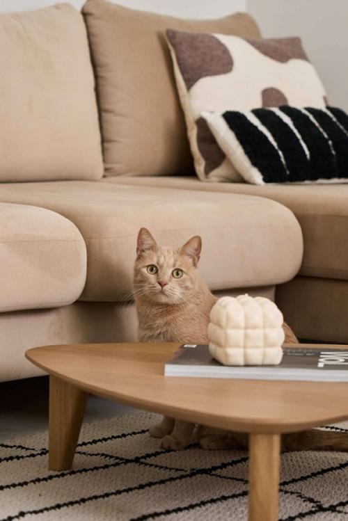 Дизайнер Анастасия Громова обновила интерьер двухкомнатной квартиры для молодой семейной пары. 04