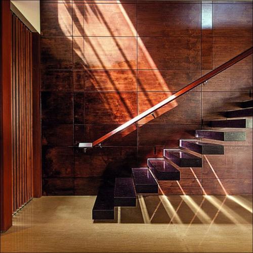 Часть 1. дома - братья от студии Pranala Associates. 04