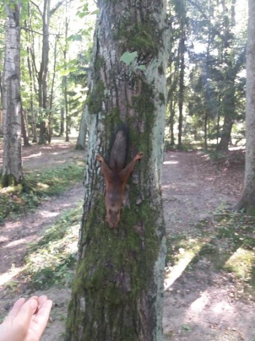 Про детей внешних и внутренних. 03 Про детей внешних и внутренних. 03