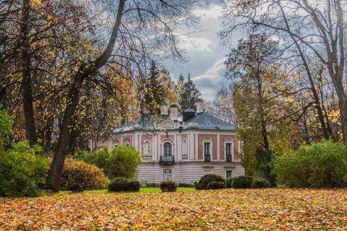 Дворец петра III в ораниенбауме. 01