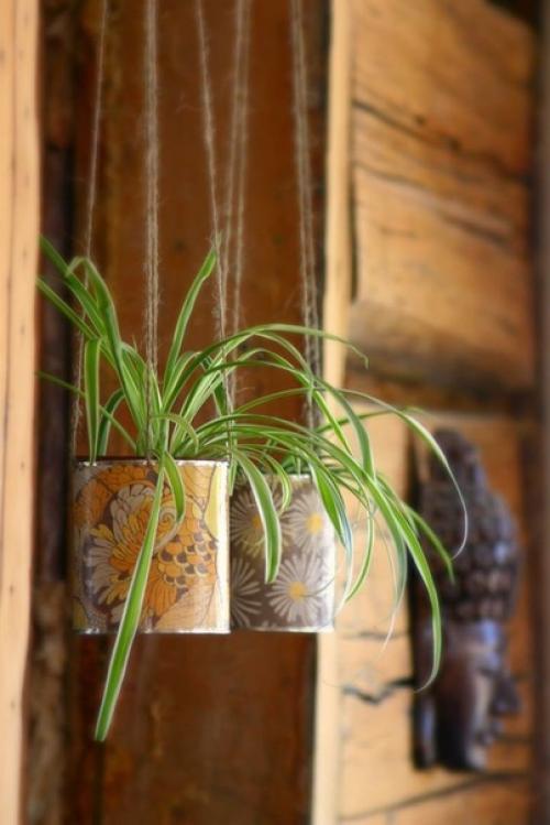 10 комнатных растений, которые вырастут даже в самом темном углу. 03