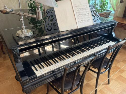 Вся семья в сборе - дочь и четверо наших детей в Петербурге. 03