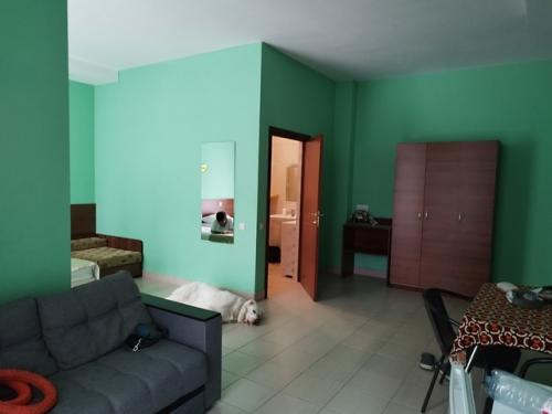 Все привет!  Мы только вернулись из нашего замечательного путешествия и спешим поделиться впечатлениями об отдыхе на черном море с собаками. 08