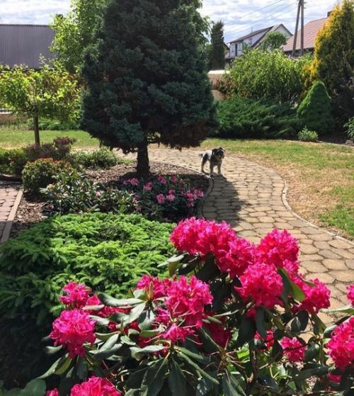 Таким образом, если загородный участок, то такой. 02