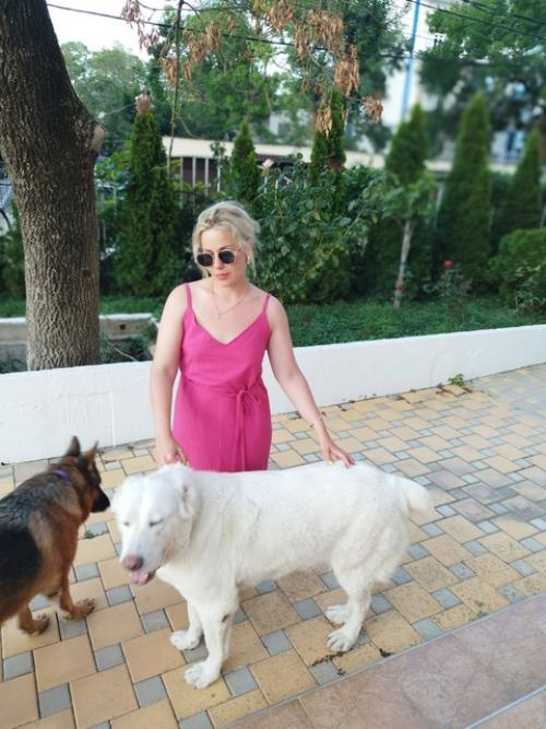 Все привет!  Мы только вернулись из нашего замечательного путешествия и спешим поделиться впечатлениями об отдыхе на черном море с собаками. 05