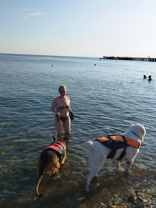 Все привет!  Мы только вернулись из нашего замечательного путешествия и спешим поделиться впечатлениями об отдыхе на черном море с собаками. 02