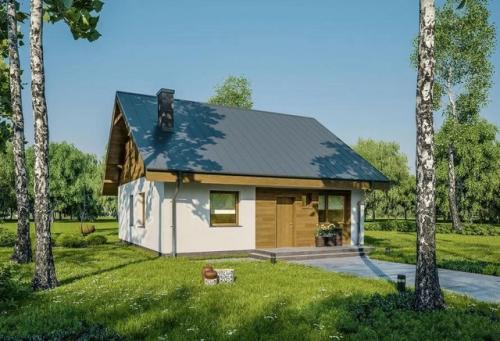 Эскизный проект одноэтажного дома. 02