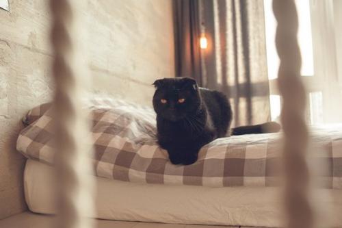 Fild Design.  Лофт на днепровской набережной. 06