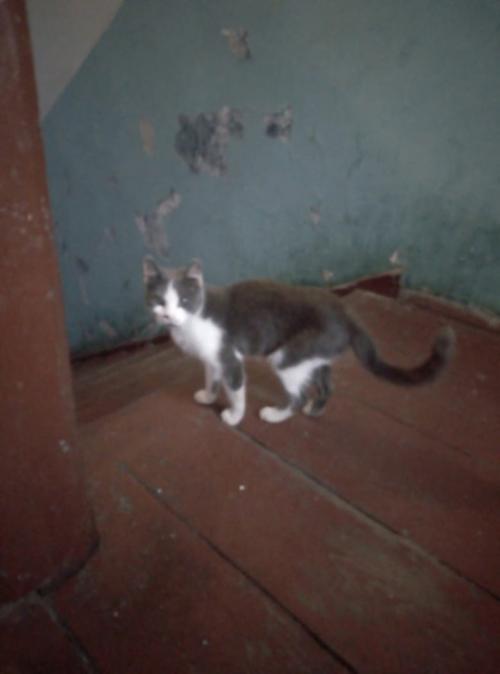 Мода на экзотику или вычурность форм приходит и уходит, а классика, природные оттенки или простые формы остаются навсегда. 01