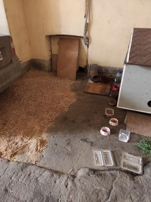 Чумовые интерьеры дома страхового общества Россия (б. морская, 35. 07