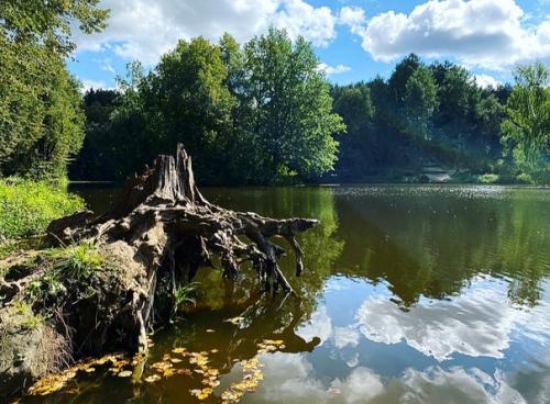 Середниково - старинная подмосковная усадьба, хранящая в своем ансамбле черты эпохи расцвета русского классицизма - золотого века русских усадеб. 02