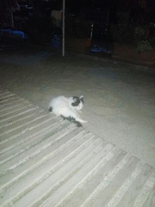 В десяти минутах от нас живёт мой крестный. 07