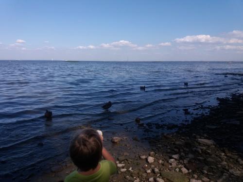 Про детей внешних и внутренних. 05 Про детей внешних и внутренних. 05