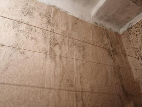 Любая большая беда с маленькой частички Недо начинается. 07