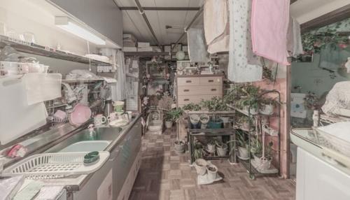 Трагическая судьба советских хрущевок в Японии: прошлое и будущее данчи. 06