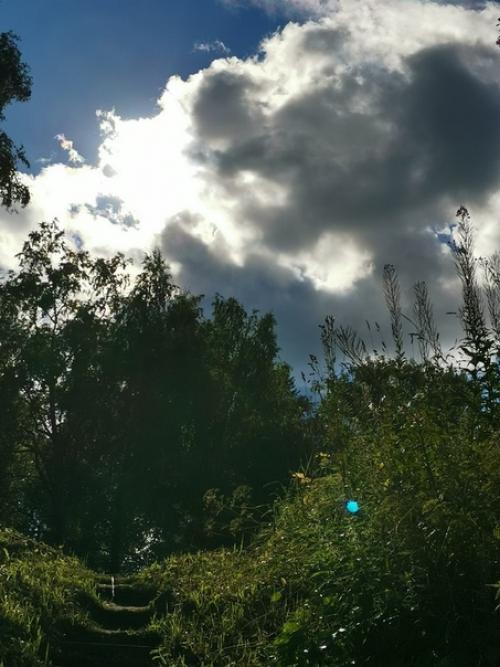 Село Борисово - судское в бабаевском районе когда-то было райцентром. 05