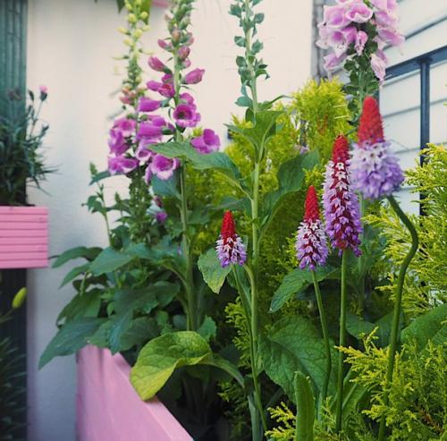 Этот балкон находится в Лондоне и принадлежит дизайнеру интерьеров Мелани. 04