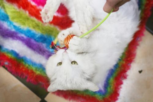 Шикарный блондин желает познакомиться. 01