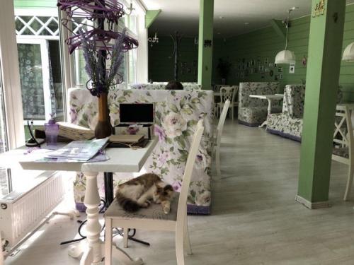 Едем в Коломну: храмы, музеи и городовой в будке. 01