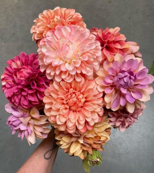 Хозяйка этого дома Джудит живет одна, ее сыновья выросли, и она, наконец, смогла создавать свой интерьер, не оглядываясь на других. 01