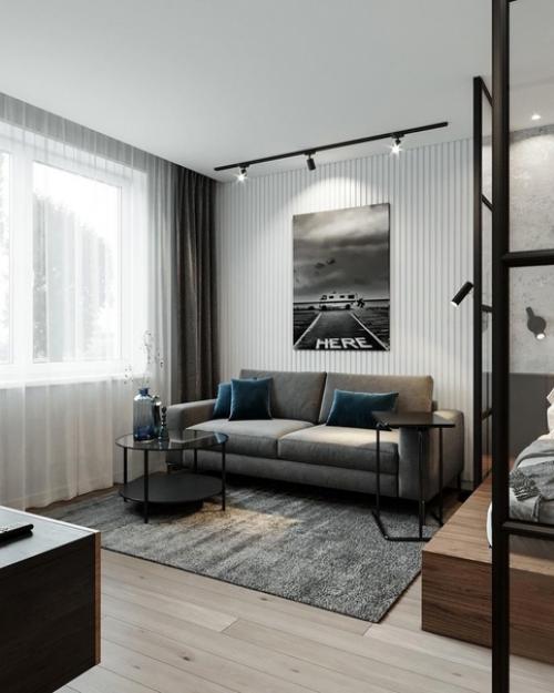 Однокомнатная квартира для молодого человека. 01