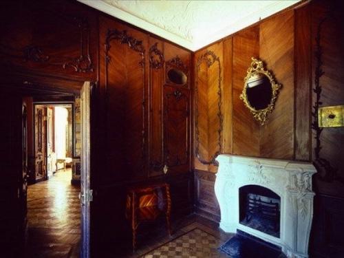 Дворец петра III. 01