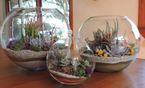 Флорариум в домашнем интерьере.