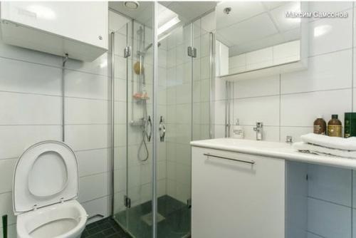 Русские о Финляндии. 04