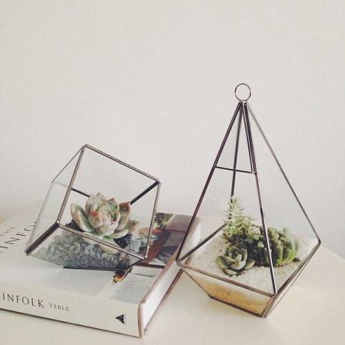 Флорариум в домашнем интерьере. 04