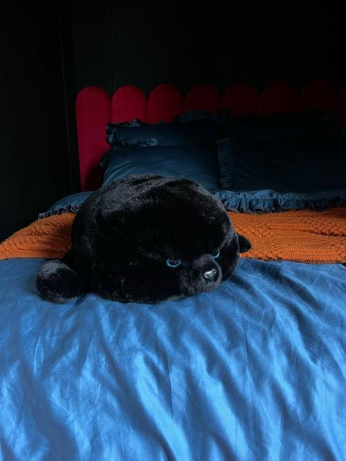 Немного моей квартиры у меня ещё ремонт конечно, но уже есть мамаевский стиль в интерьере. 04