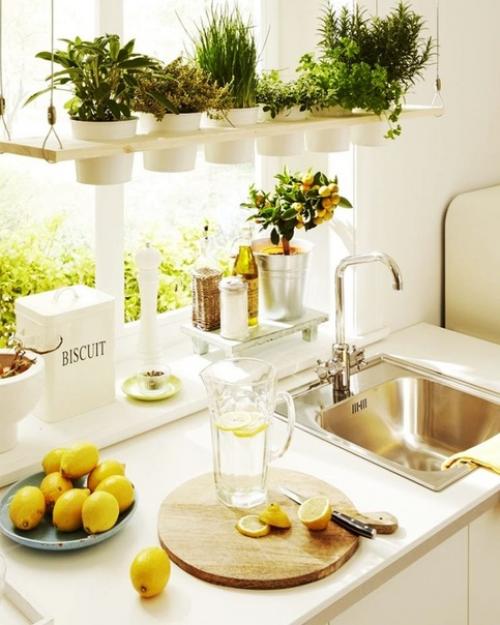 Цветы в интерьере.