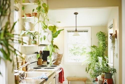 Цветы в интерьере. 01