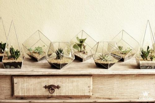 Флорариум в домашнем интерьере. 06