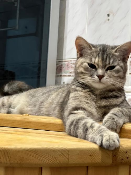 Ровно год назад 16 сентября в нашей семье появилась Соня. 03