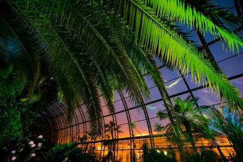 Прогулка по центру города: таврический сад и его окрестности. 05