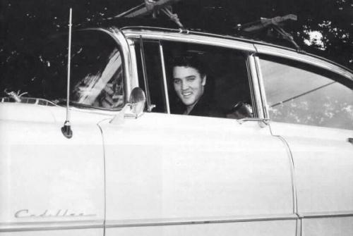 Elvis's Cadillacs. 01