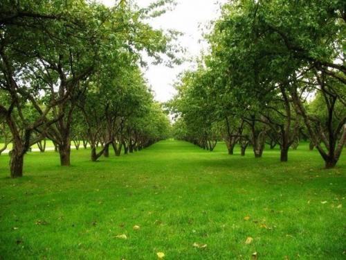 20 мест для самой красивой прогулки в Москве. 08