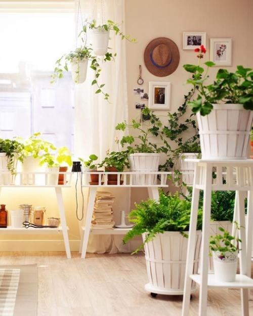 Цветы в интерьере. 04