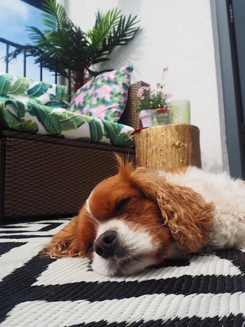 Этот балкон находится в Лондоне и принадлежит дизайнеру интерьеров Мелани. 02