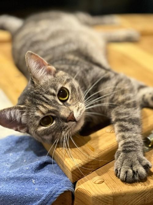 Ровно год назад 16 сентября в нашей семье появилась Соня. 05