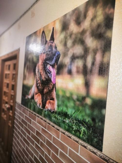 Наконец - то красавчик доехал до моего дома. 01