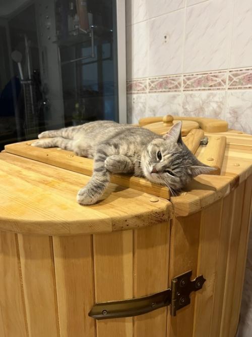 Ровно год назад 16 сентября в нашей семье появилась Соня. 04