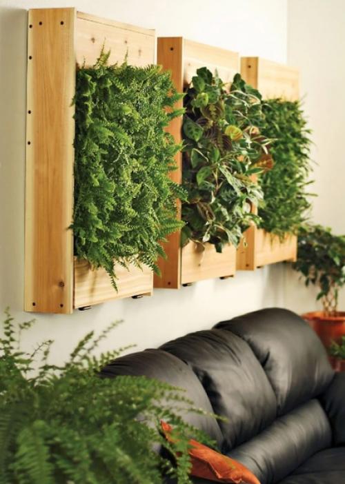 Цветы на подоконнике. 02 Цветы на подоконнике. 02