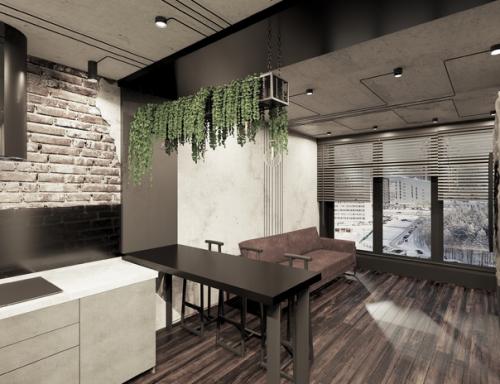 Дизайн - проект квартиры в стиле лофт с элементами эко - стиля. 04