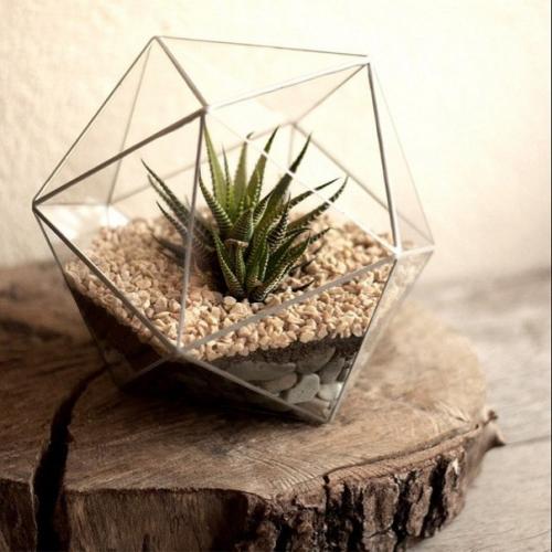 Флорариум в домашнем интерьере. 08