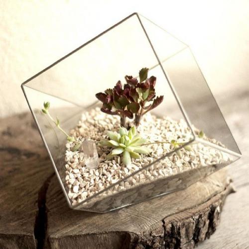 Флорариум в домашнем интерьере. 07